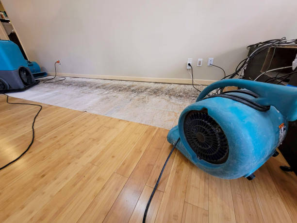 Professional Water Extraction technician working in Thurman, OH